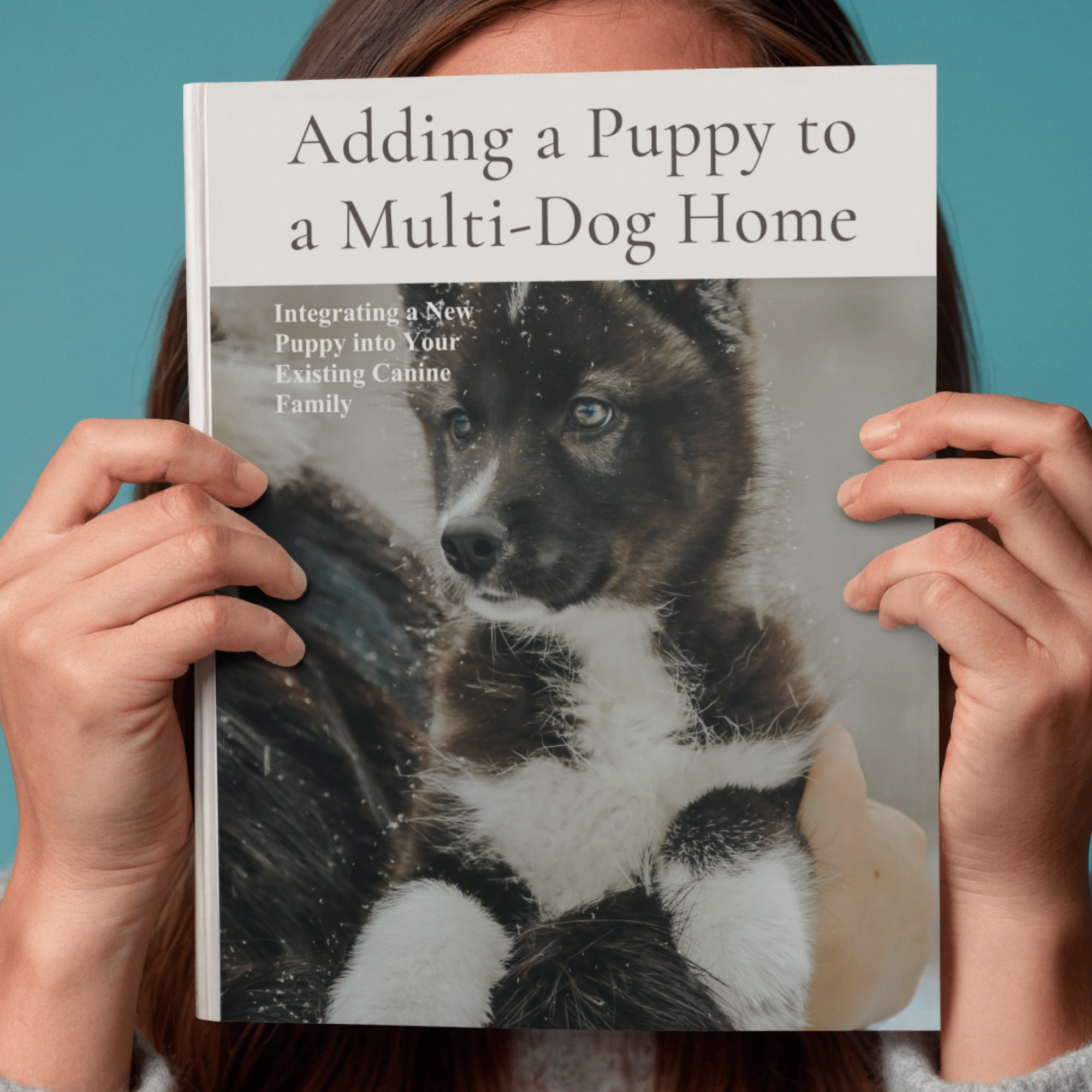 Digital Ebook: Adding a Puppy to a Multi Dog Home