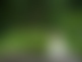 NYC Wedding Photography