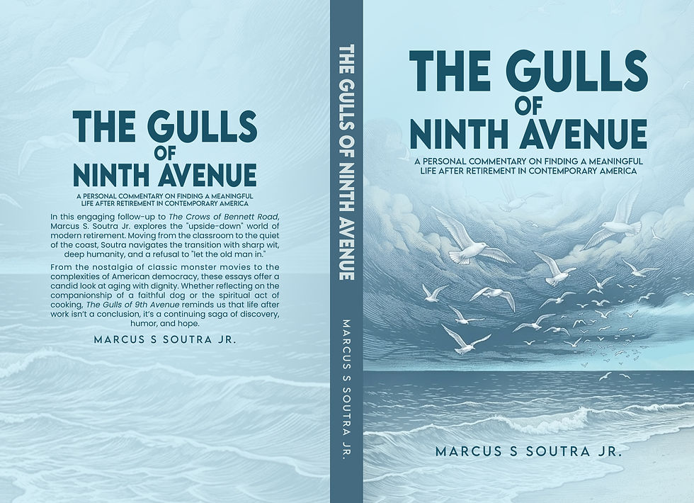 Book cover for The Gulls of Ninth Avenue
