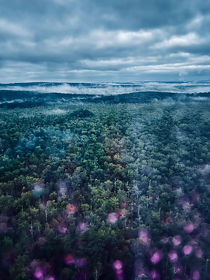 Image I took at Foxwoods Casino