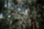 El Campirano|Naturaleza