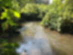 El Campirano|Río