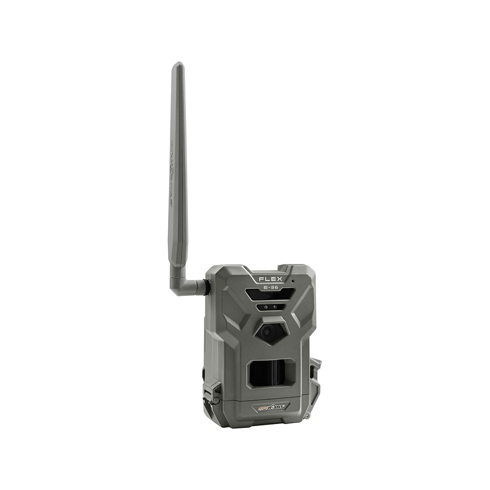 Miniaturbild: SPYPOINT FLEX E-36 TWIN-PACK