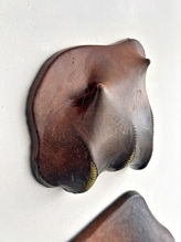 Escultura biomorfica de julio primeiro artista nordestino