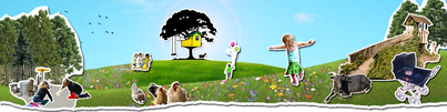 De Boomhut online