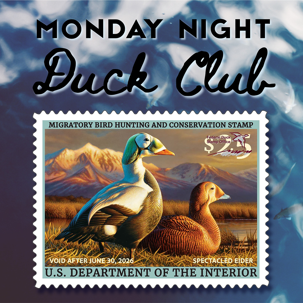 Monday Night Duck Club