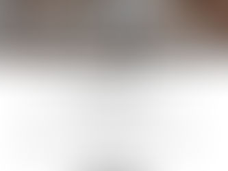 NEW YORK STYLE GUIDE & THE HOUSE OF FASHION