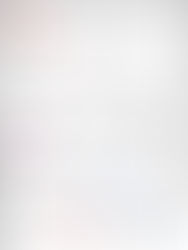 MEDIA PARTNERS | CHECK THE NEWS