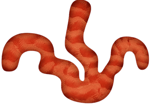 mini_BACTI_1-removebg-preview (1)-min.png