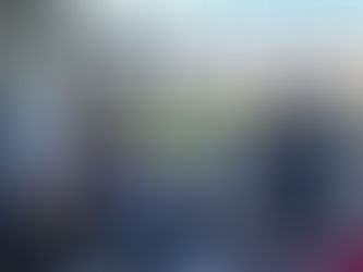 the swingpals insider #0003