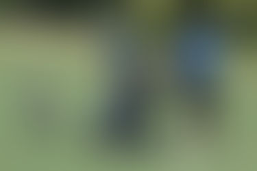 The Swingpals Insider #0002