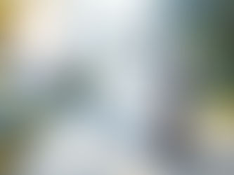 Como definir metas e alcançar sem procrastinar.