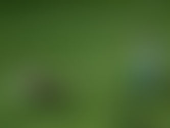 Μπεργκ: «Να κάνουμε περισσότερες ευκαιρίες στη Σουηδία»