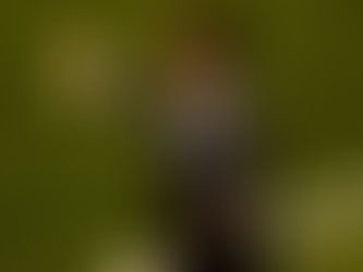 Στραματσόνι: «Βγήκαμε εκτός στόχων φέτος»