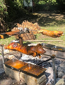 IMG_1464.jpeg