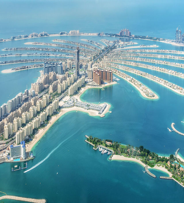 Palm Islands