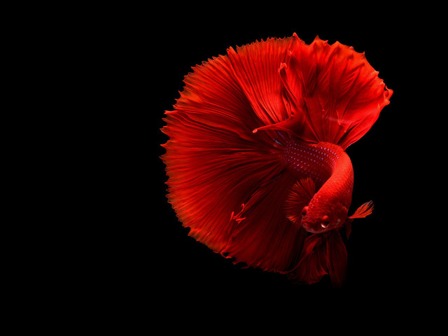 Colour Psychology in Fashion: Explained