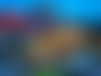 ¿Cuál es la mejor época del año para viajar dentro de Costa Rica?