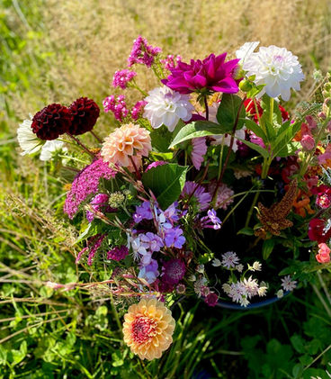 Wholesale flowers for florists which are British grown.