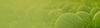 isocell Hero.jpg