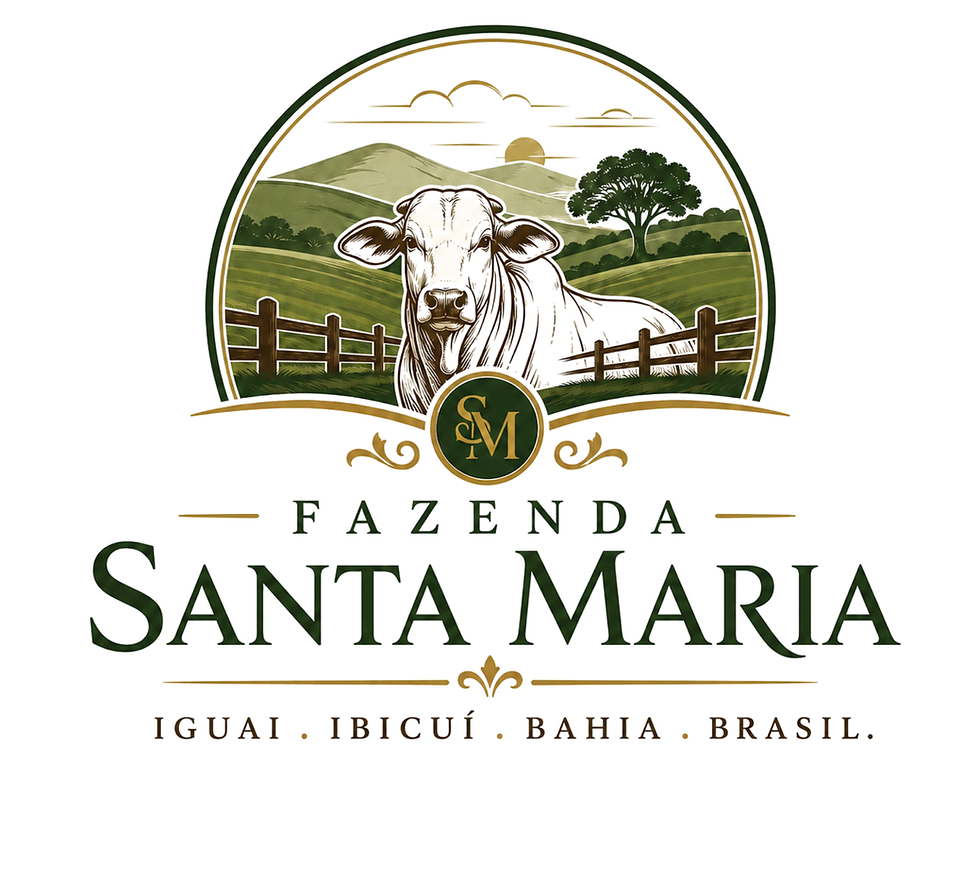 santa maria logo.png