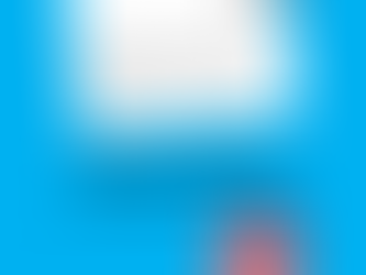 La coordinadora recolza les reivindicacions de les direccions