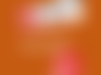 Apunts del consell educatiu de 9b, 12/11/2025