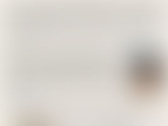 Butlletí 009, programa assessorament i suport AFA