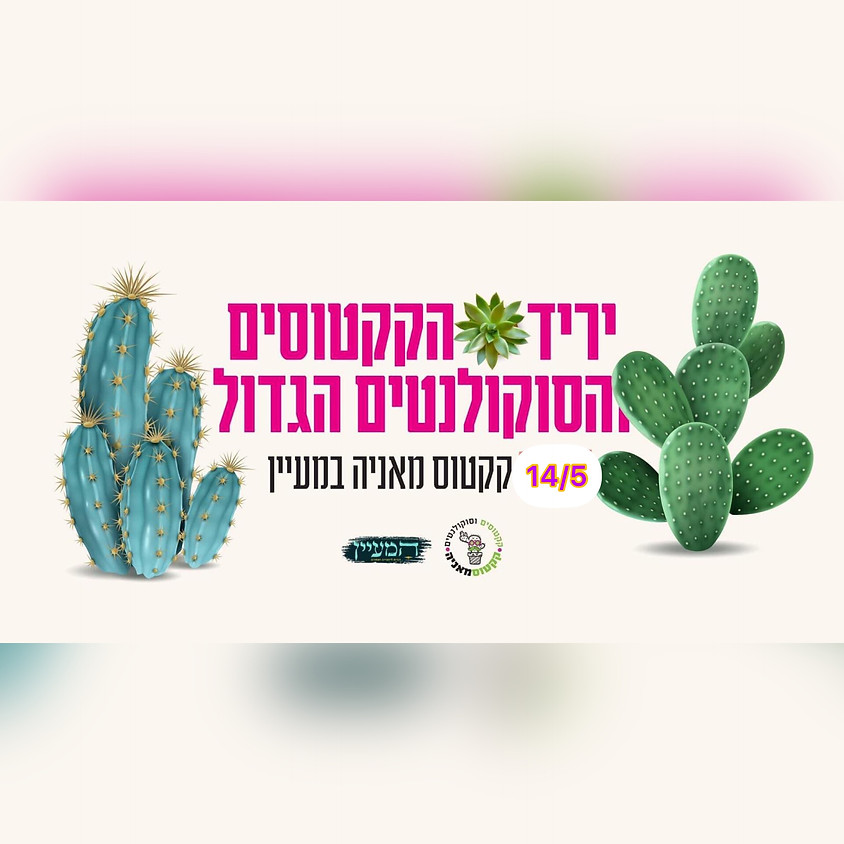 יריד הקקטוסים והסוקולנטים של קקטוס מאניה (1)