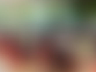 あけましておめでとう 会