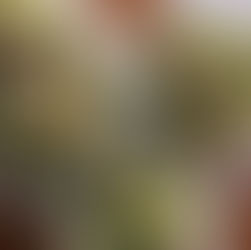 Broccoli Keto side dish