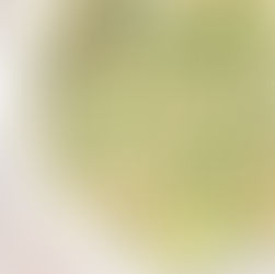 Cilantro Lime Cauliflower Rice