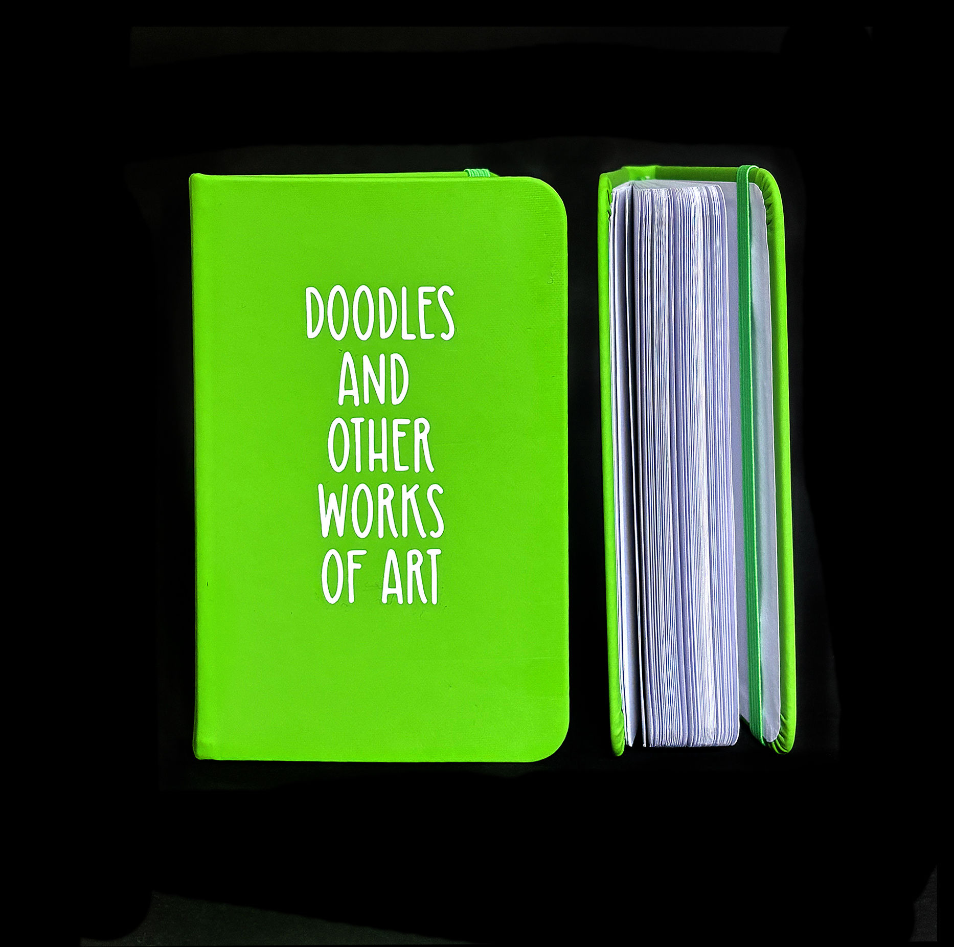 'Doodles and Other Works of Art' Notebook