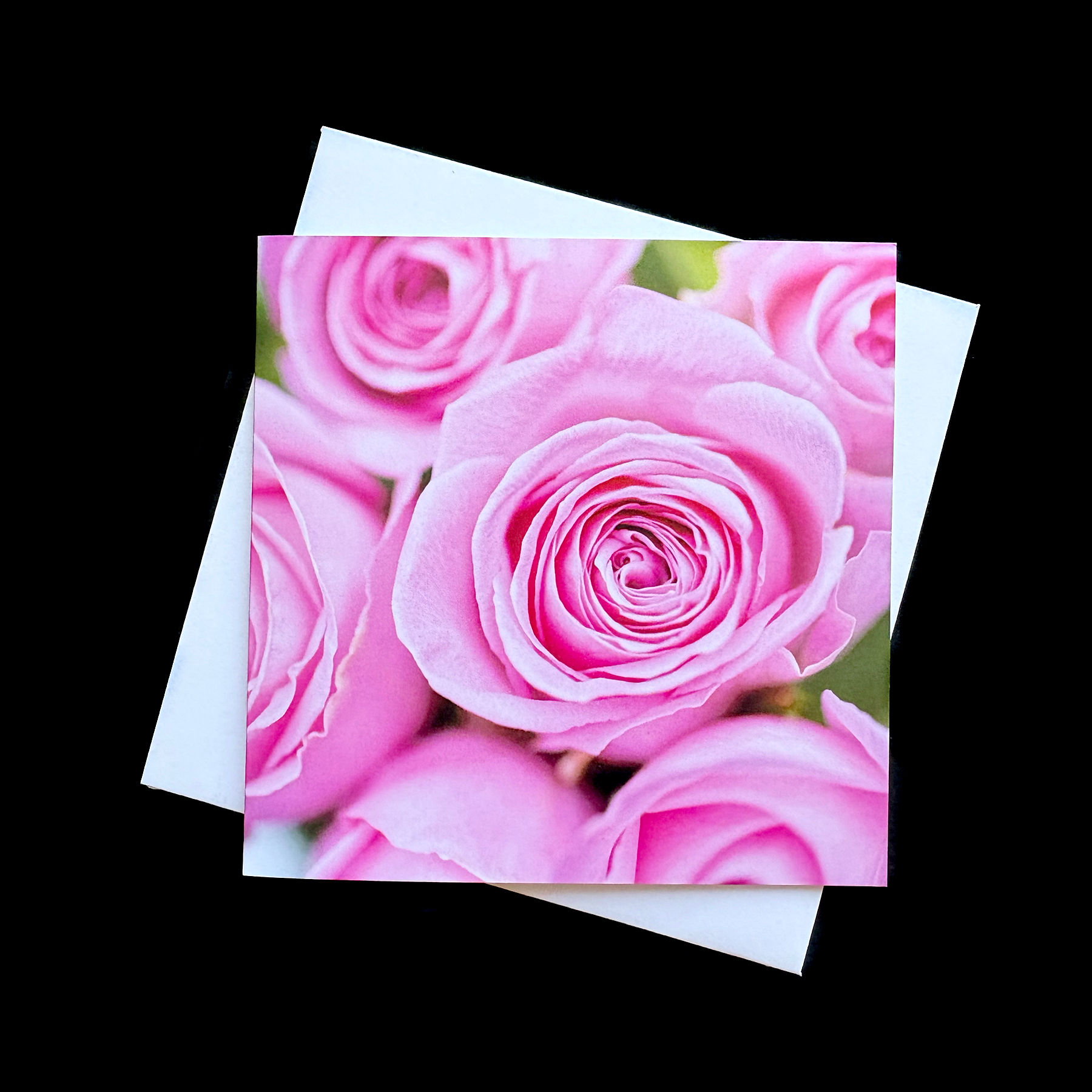 Pink Rose 6 Greetings Card