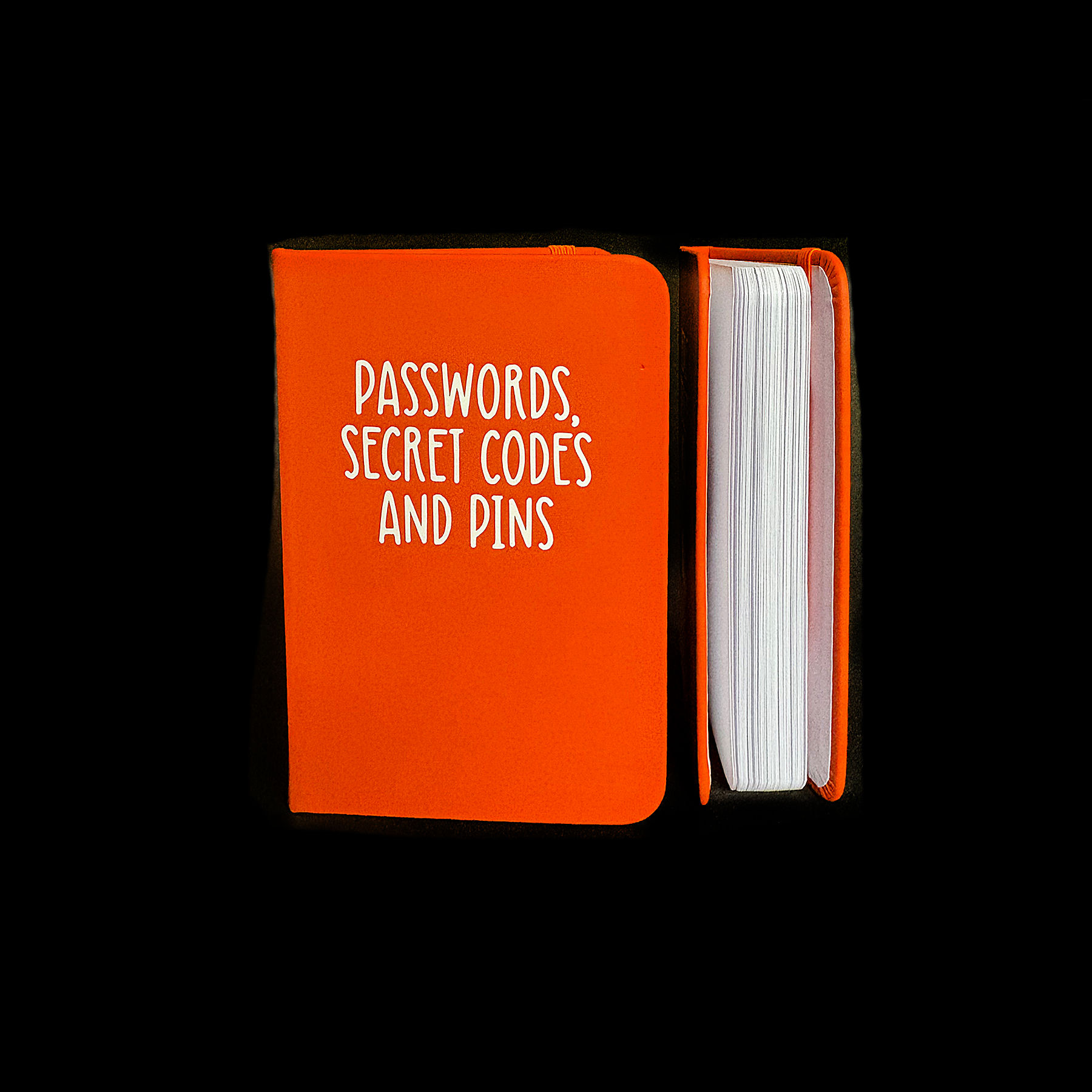 'Passwords, Secret Codes and Pins' Notebook