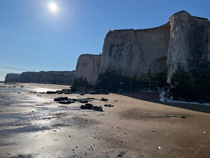 Exploring Botany Bay - Geography Fieldwork