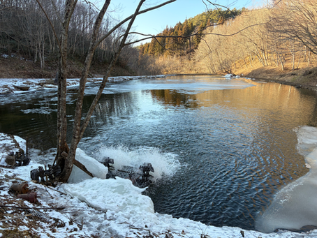 営業再開いたします。