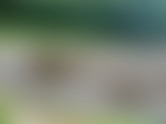 漸く動き出しました