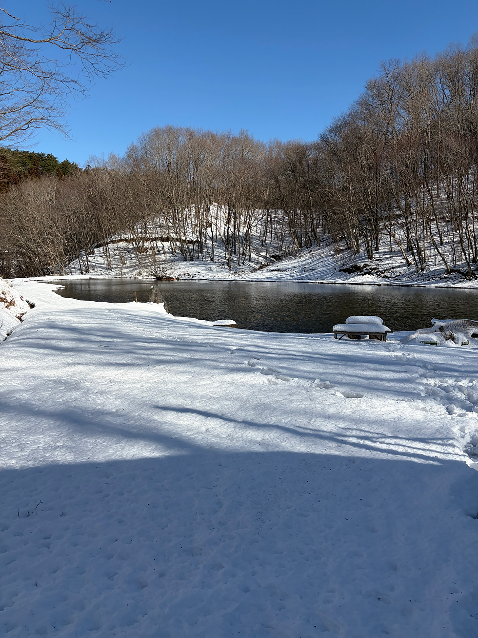 たっぷり雪残ってます