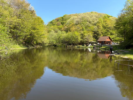 臨時休業のお知らせ