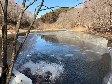 立春　（営業日のお知らせ）