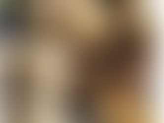 Entrevista para a Revista Viva Saúde sobre Fome Oculta