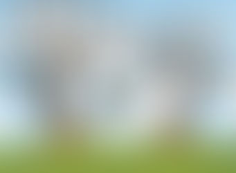 Eerst proefdraaien, daarna weer veilig open!