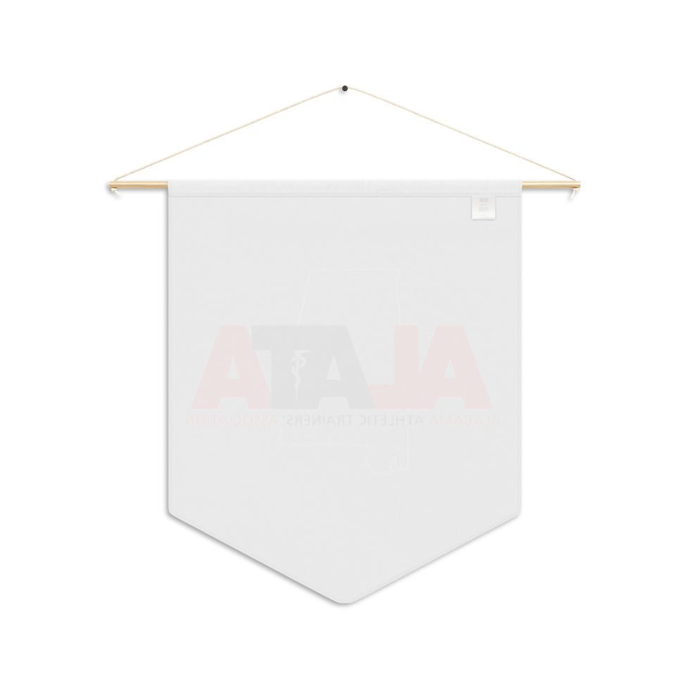 Thumbnail: Alabama Athletic Trainers' Pennant Banner | Sports Room Decor