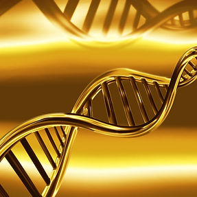 Energéticienne et facilitatrice à Lille, Delphine Leclercq vous accompagne dans la libération des blocages, le bien-être et la transformation personnelle.