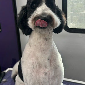 Styles by Earvin - Mobile