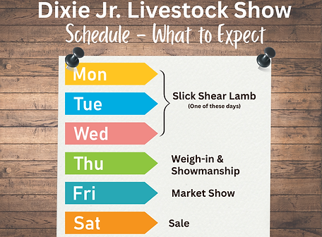 DJLS schedule.png