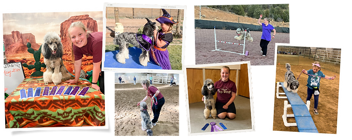 dog with girl and in agility competition