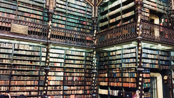 Virtues of Study Abroad: Patience