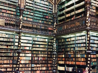 Virtues of Study Abroad: Patience